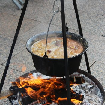 10. jubilarna karnevalska maneštra